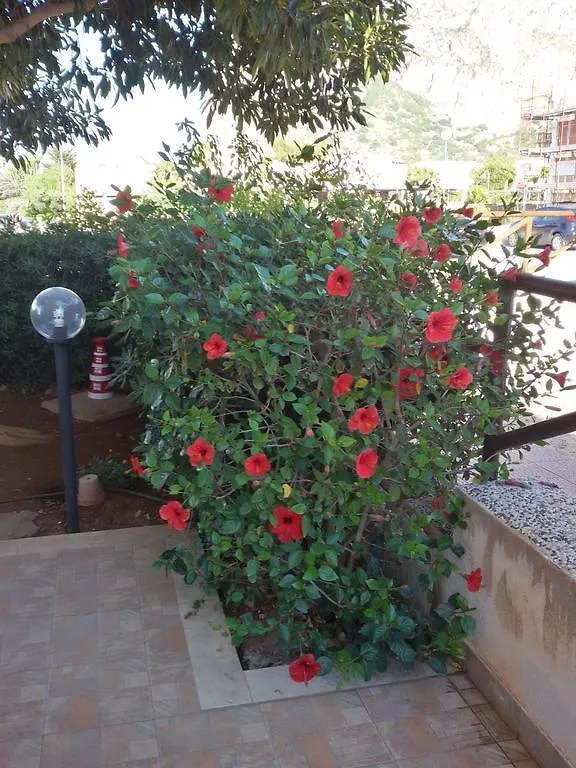 아파트 Appartamento Con Giardino - Wifi 산비토로카포